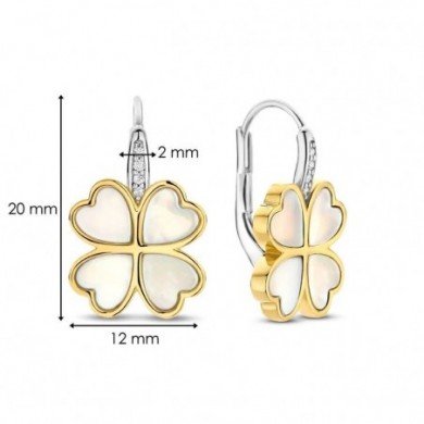 Bouclers d'oreilles en argent et nacre