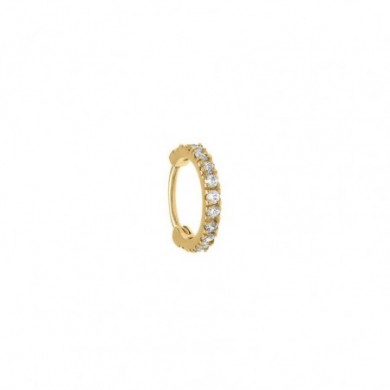 Boucle d'oreille pour Hélix, tragus, daith, rook.