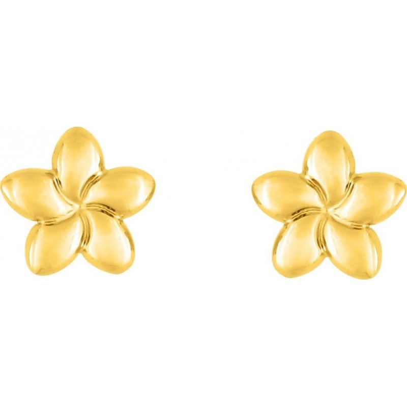 Boucles d'oreilles fleurs Boucles d'oreilles fleurs